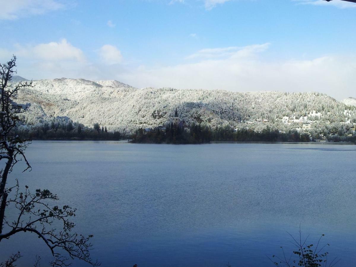 Pletna Lake View Apartment 블레드 외부 사진